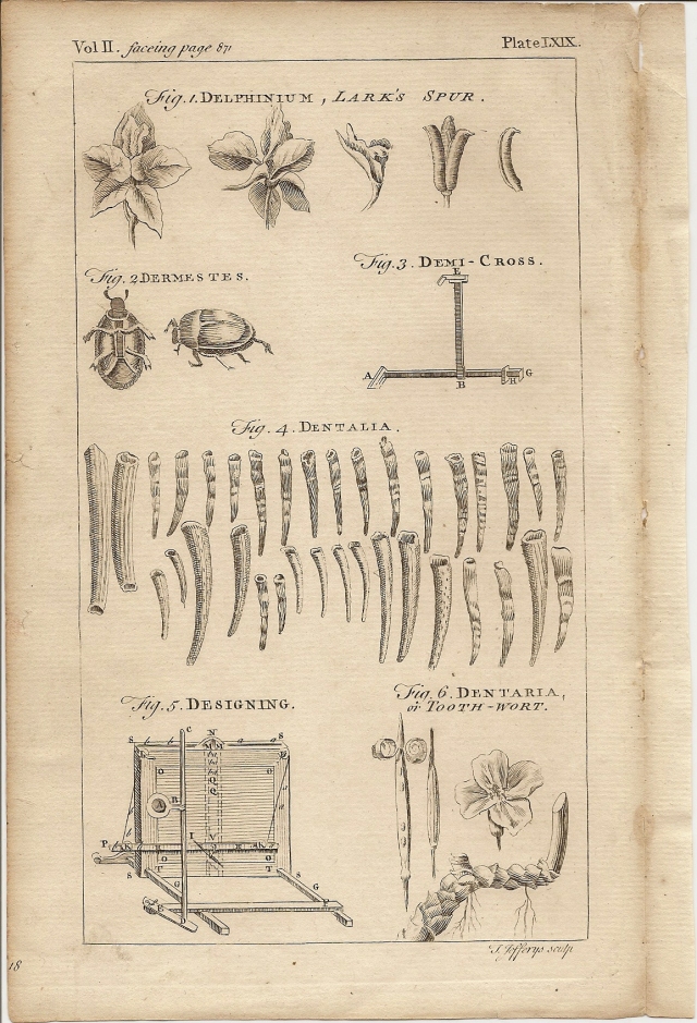 A New and Complete Dictionary of Arts & Sciences - 1754 - Jefferys - facing page 871