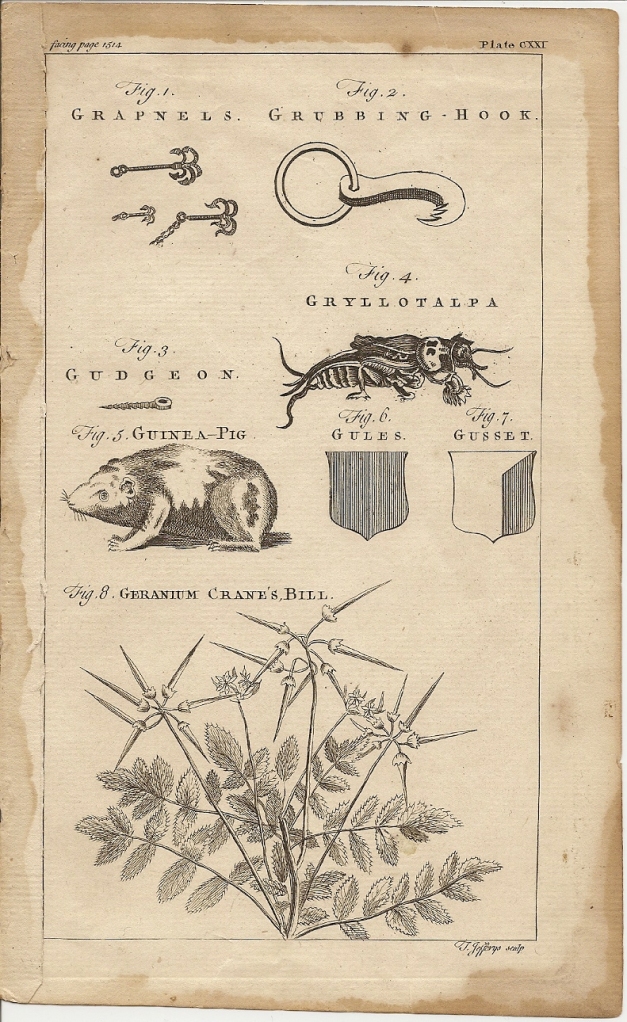 A New and Complete Dictionary of Arts & Sciences... c.1754 – facing page 863
