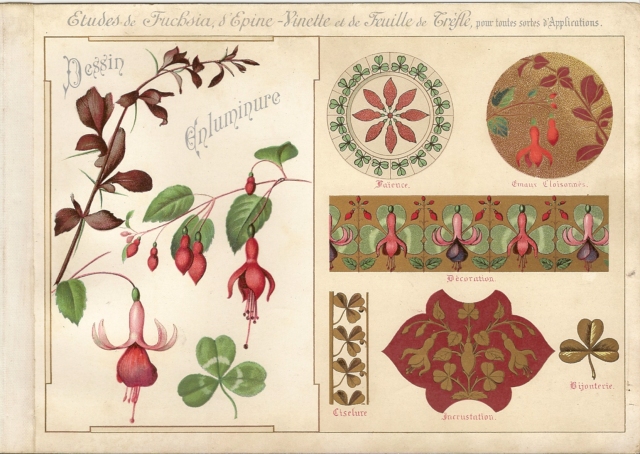 Etudes de Fuchsia, d'Epine Vinette et de Feuille de Trèfle, pour toutes sortes d'Applications